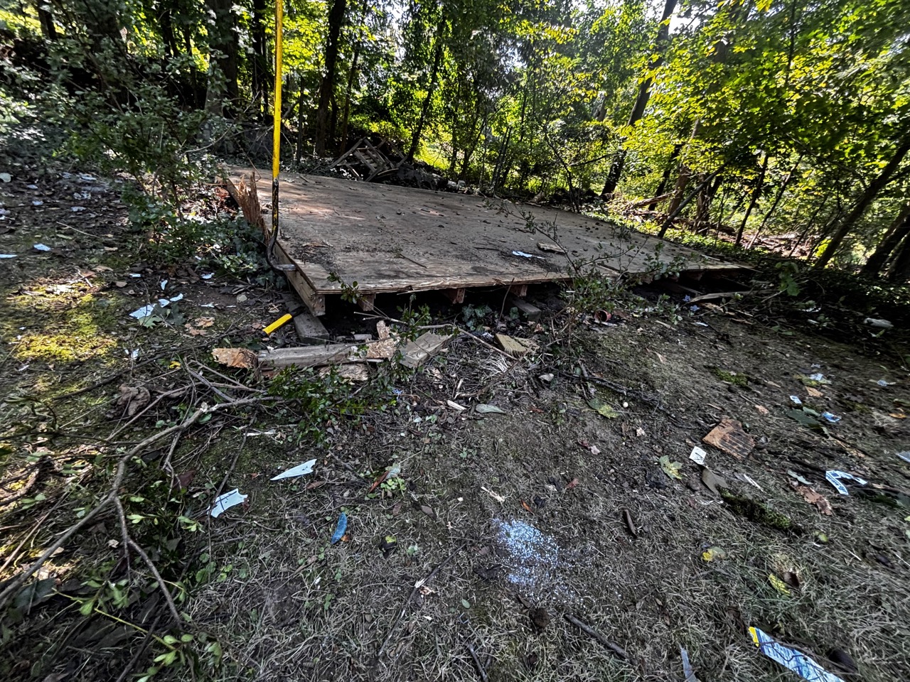 Interior demolition project photo